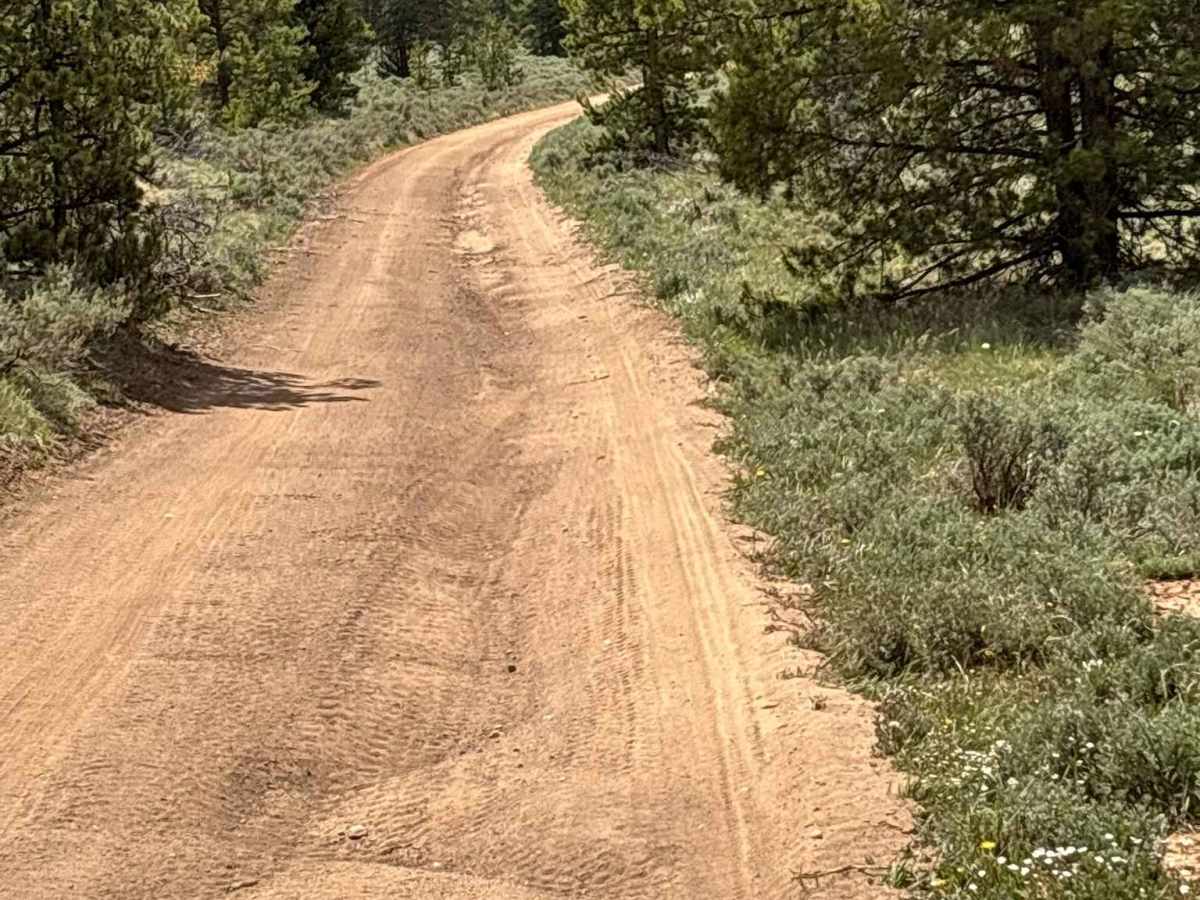 Hobbs Gulch Road photo 5