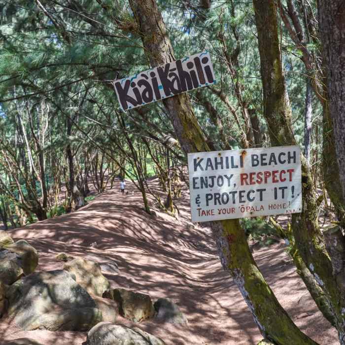 Near Pools of Mokolea