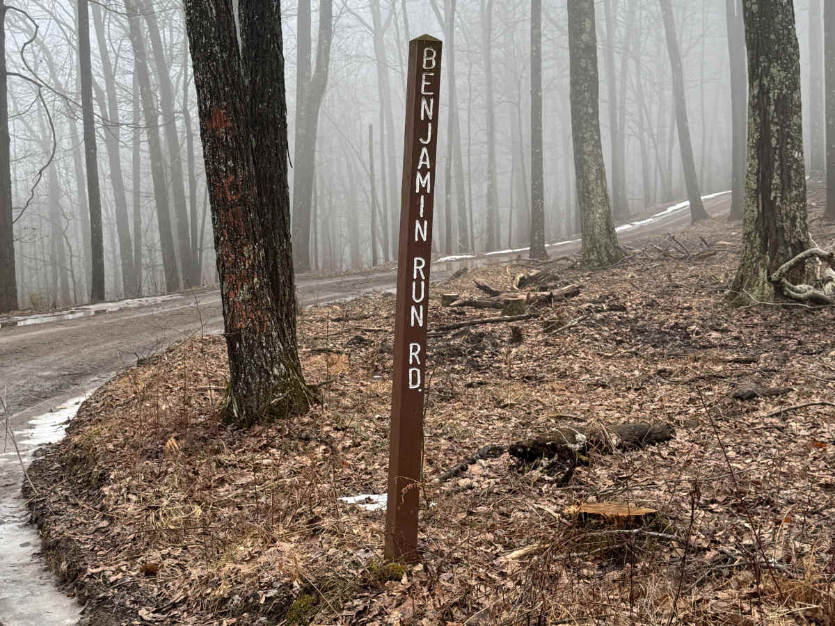Benjamin Run Road trail photo