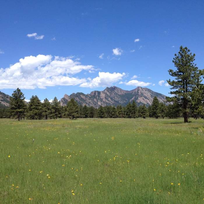 Near Flatirons Vista South