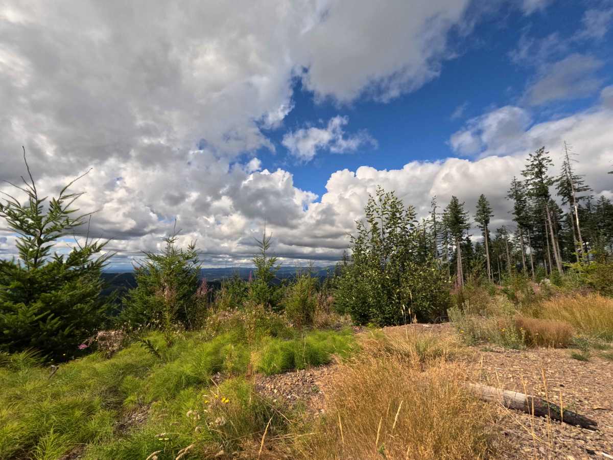 W-545 trail photo