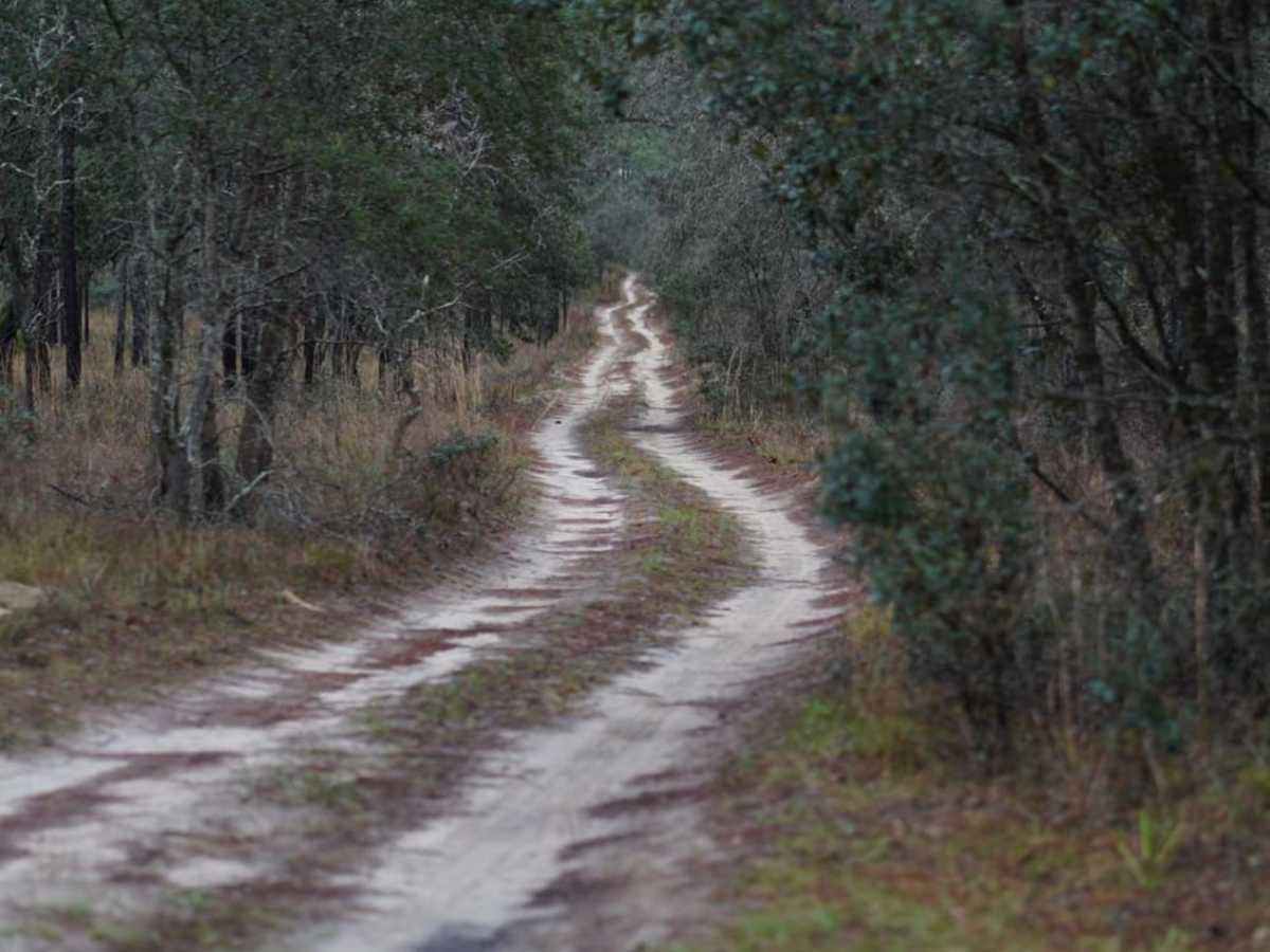 Trail 14 East photo 2