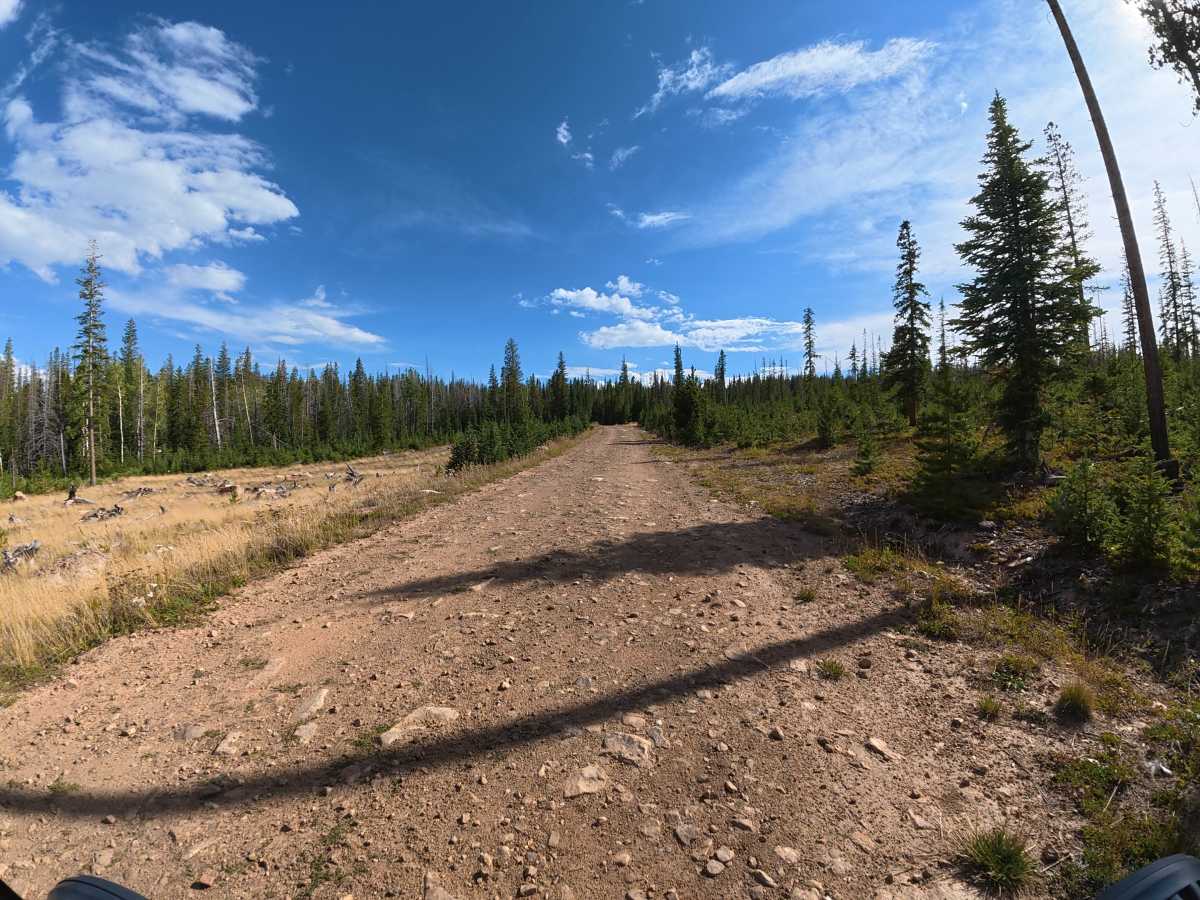 Lower Spring Creek Road photo 5