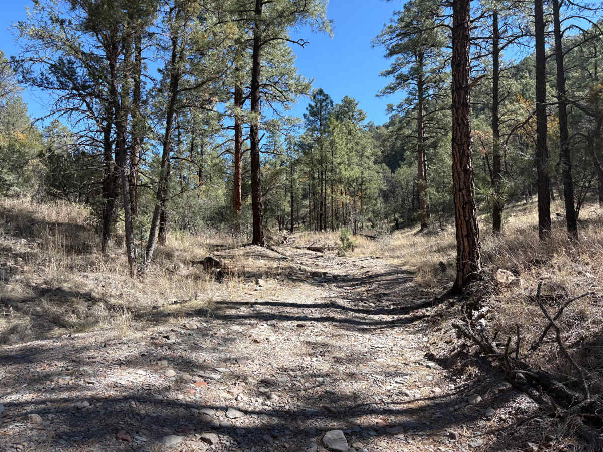 Hay Mesa - Trail 976  photo 2