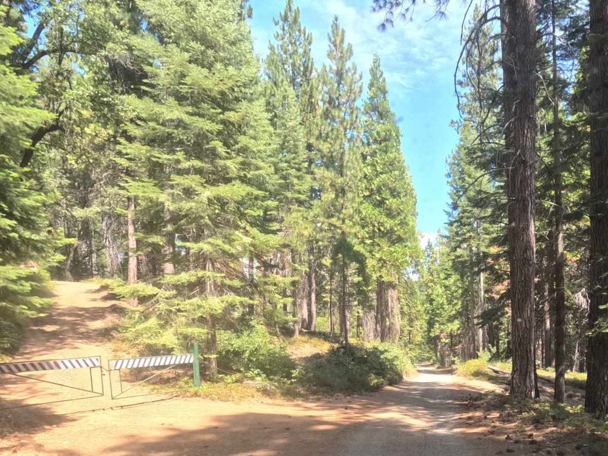 Lower Speckerman Fire - FS 5S017 photo 4