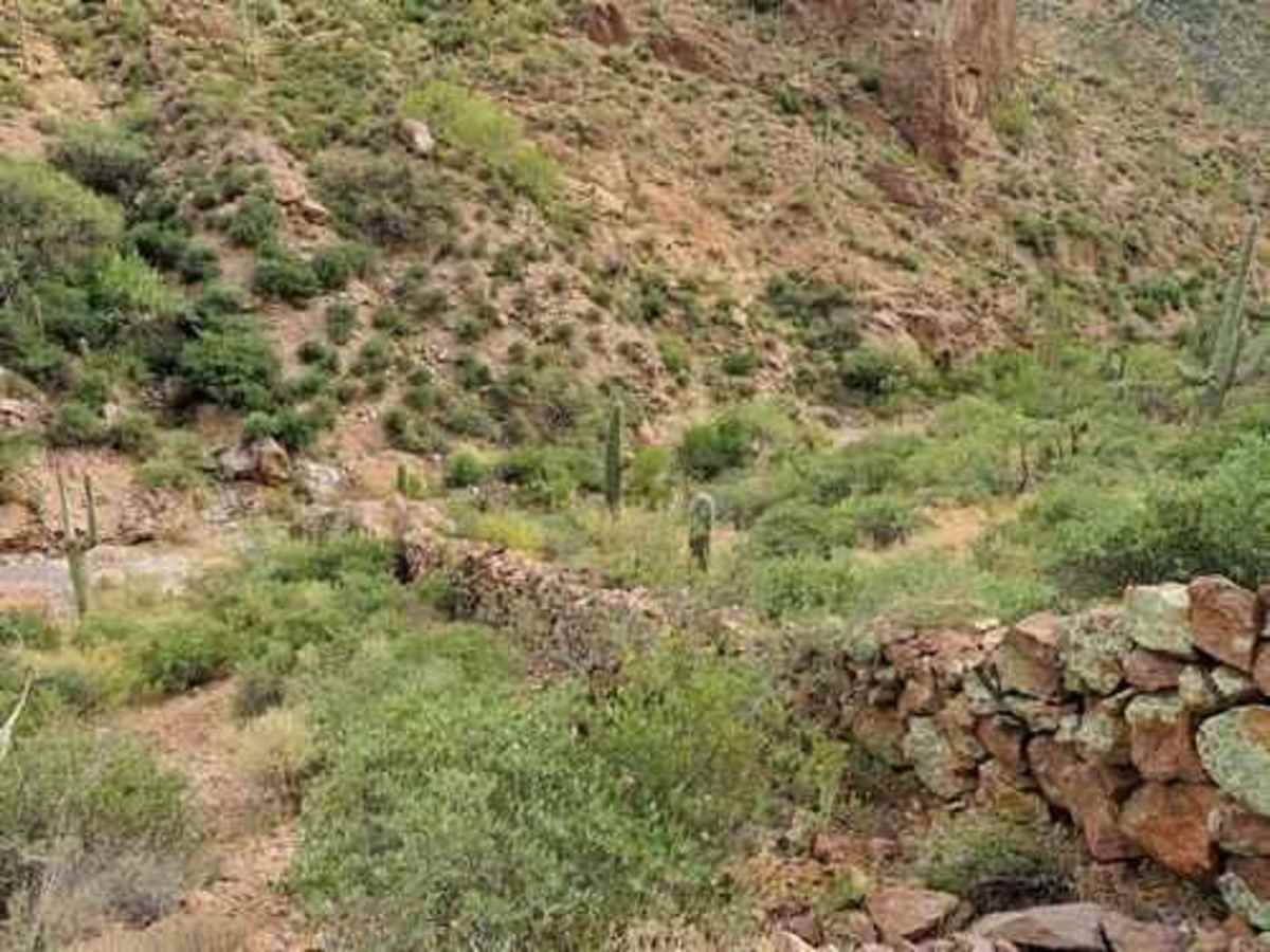 Millsite Canyon photo 6