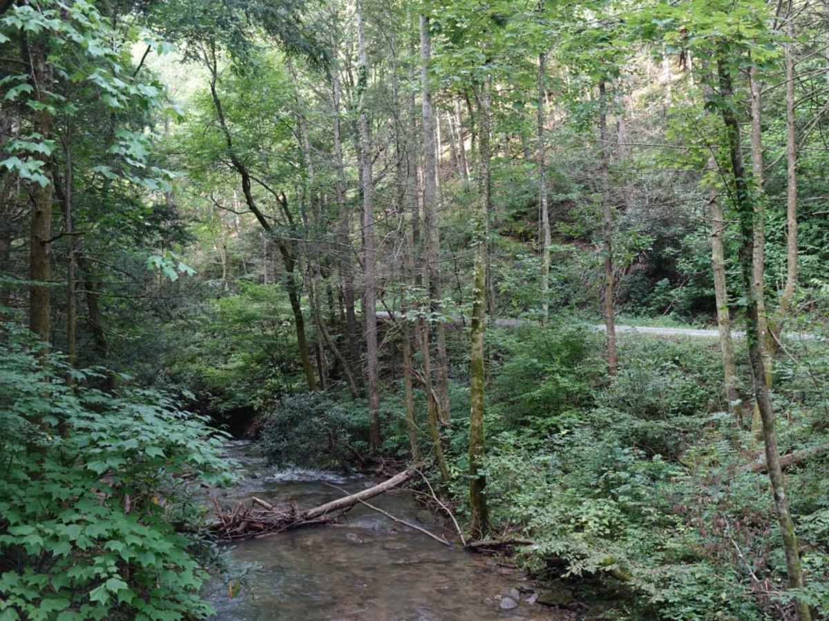 Weaver Bend photo 2