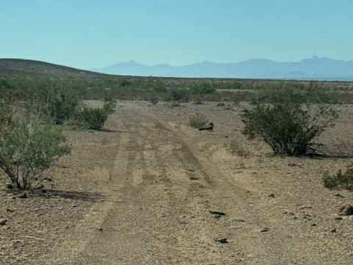 BLM PE1018 trail photo
