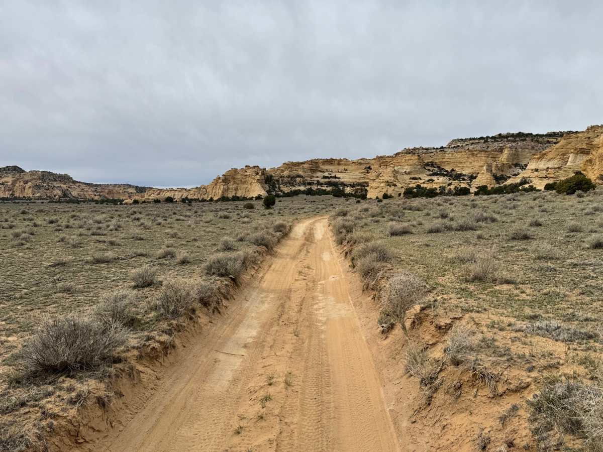 Warrior Cabin trail photo