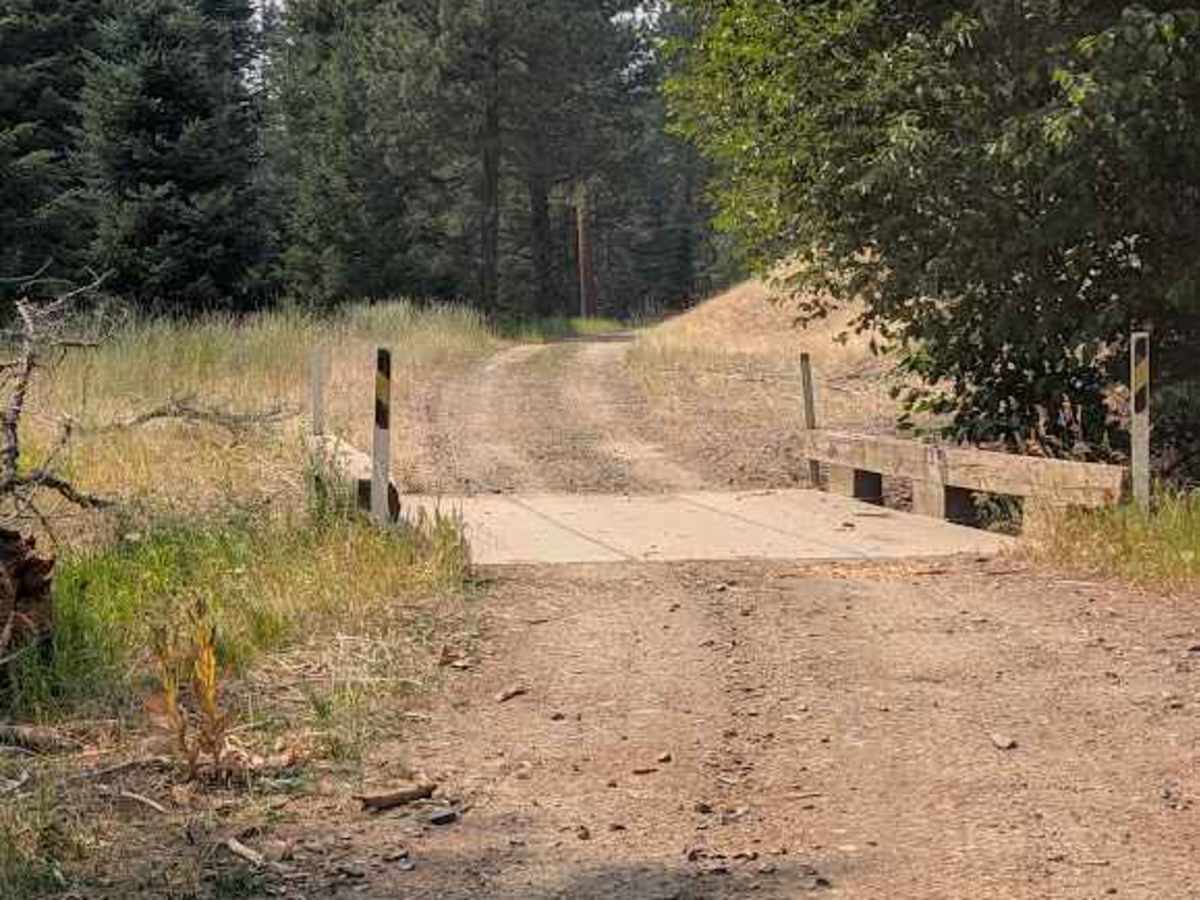 Pearson Creek Road photo 3