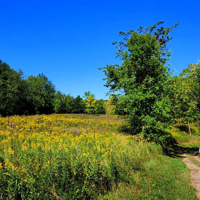 Going north on the east side of the park. Near Lake Rebecca SW Loop