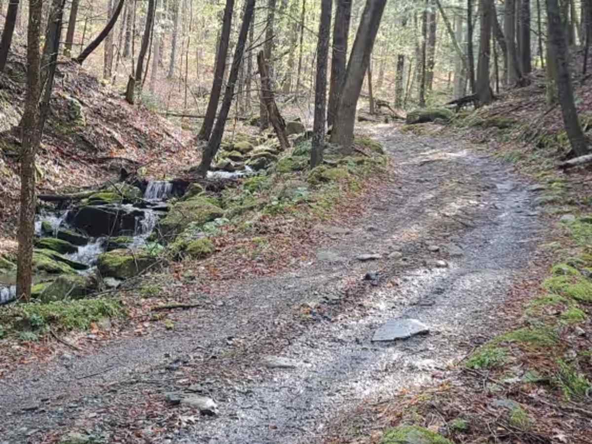 Burton Woods Road trail photo