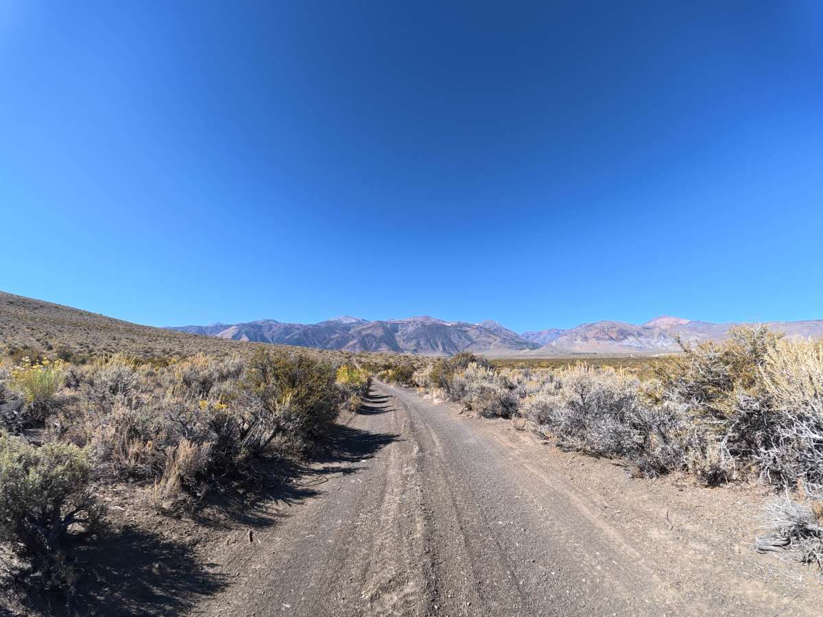 Black Point Hill trail photo