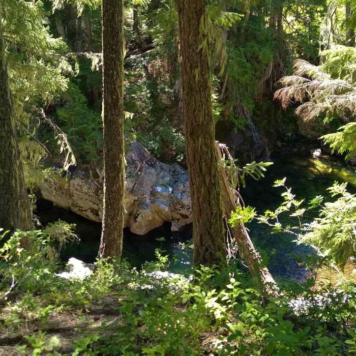 Near Little Wenatchee Gorge Trail #1540