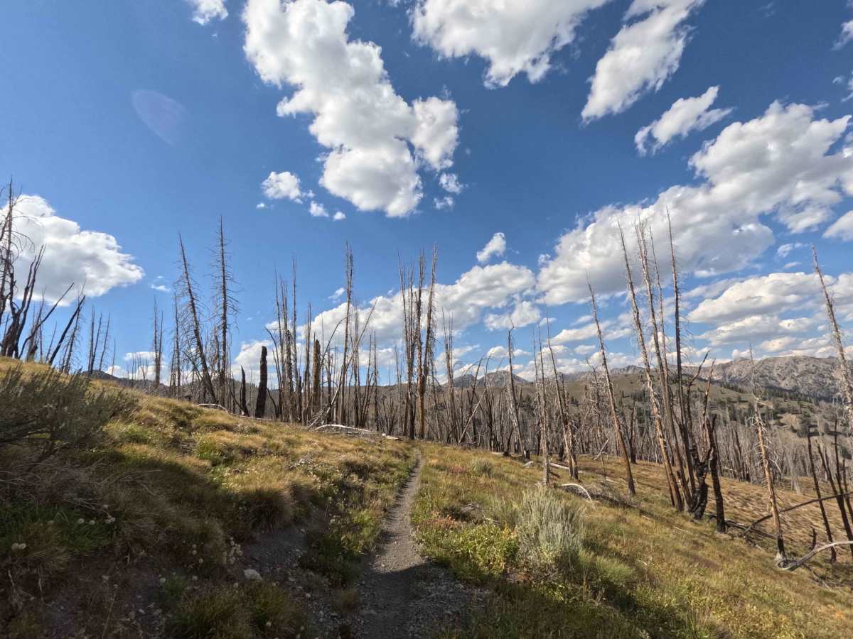 Castle Rock - FS 7140 trail photo