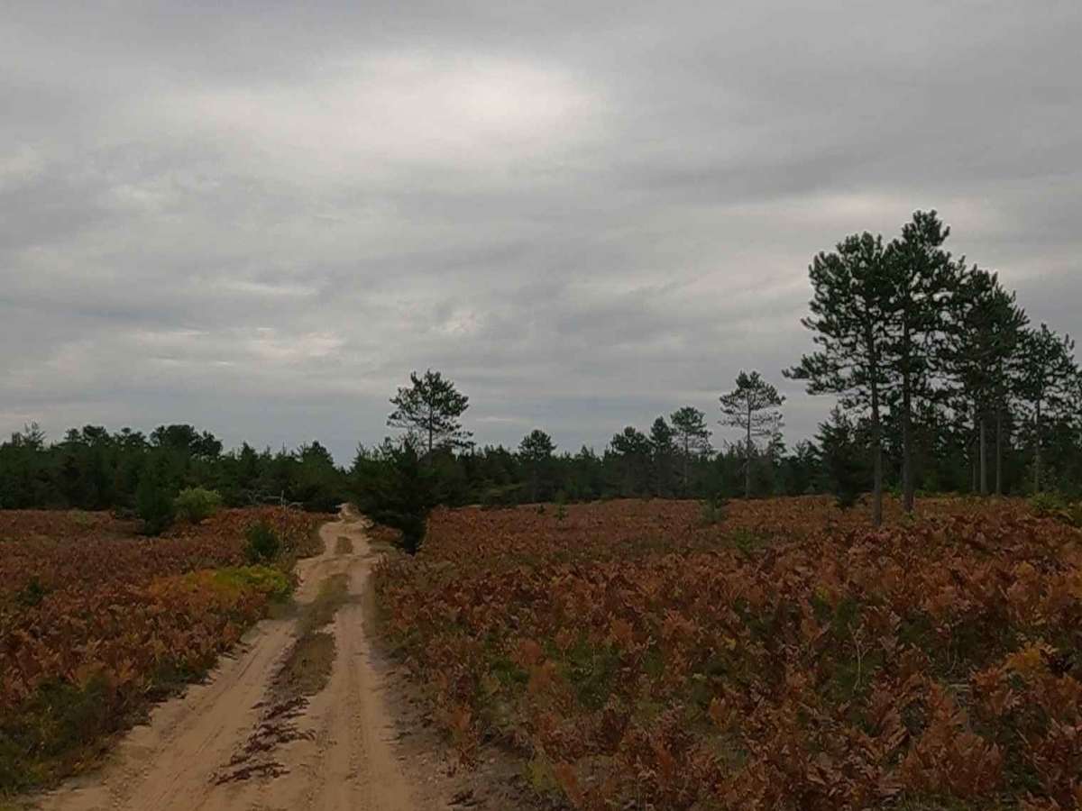 Flat Land - FSR 3036 photo 6