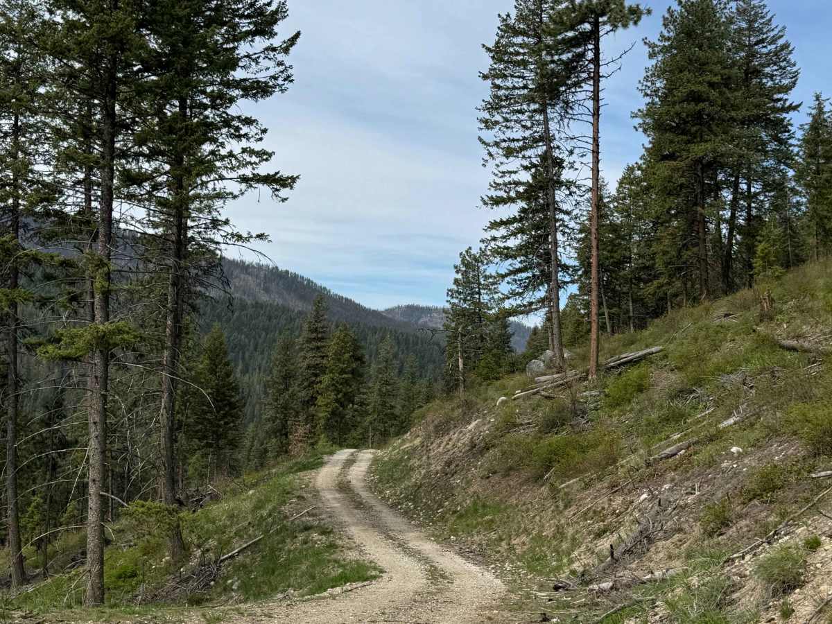 Tamarack Spring Trail trail photo