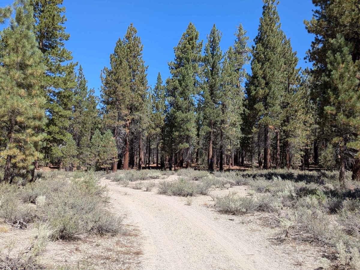 FS S3S114 trail photo