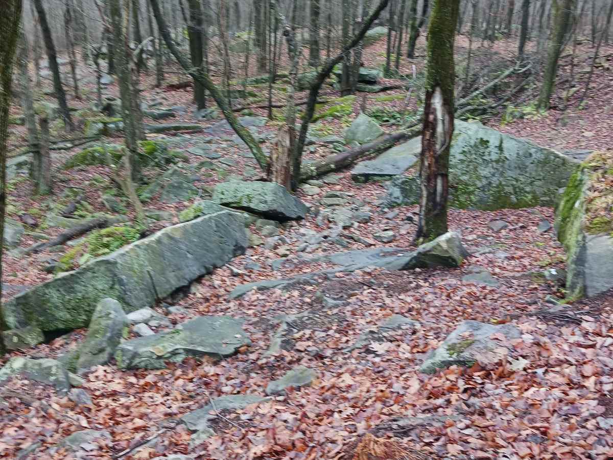OHV 35 - Rock Run Recreation Area trail photo