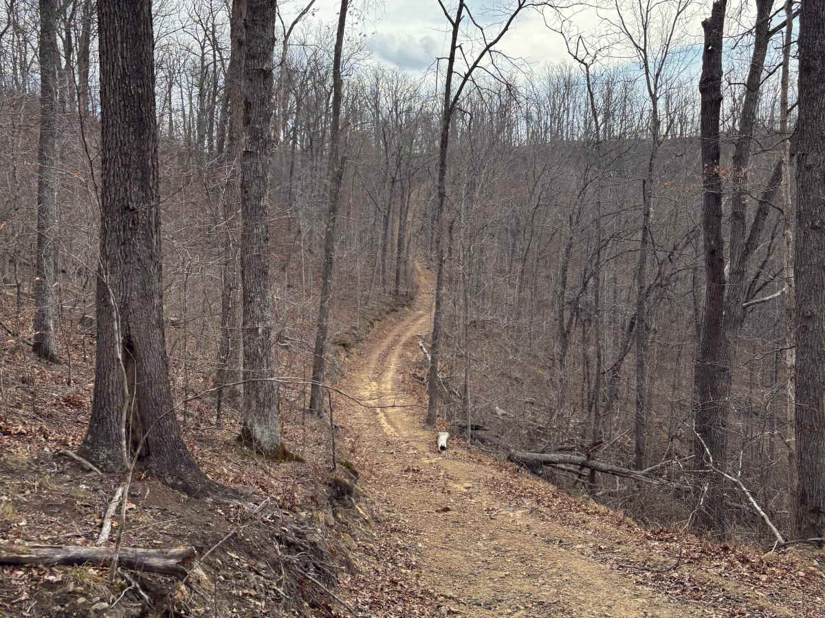 Trail 11 photo 6