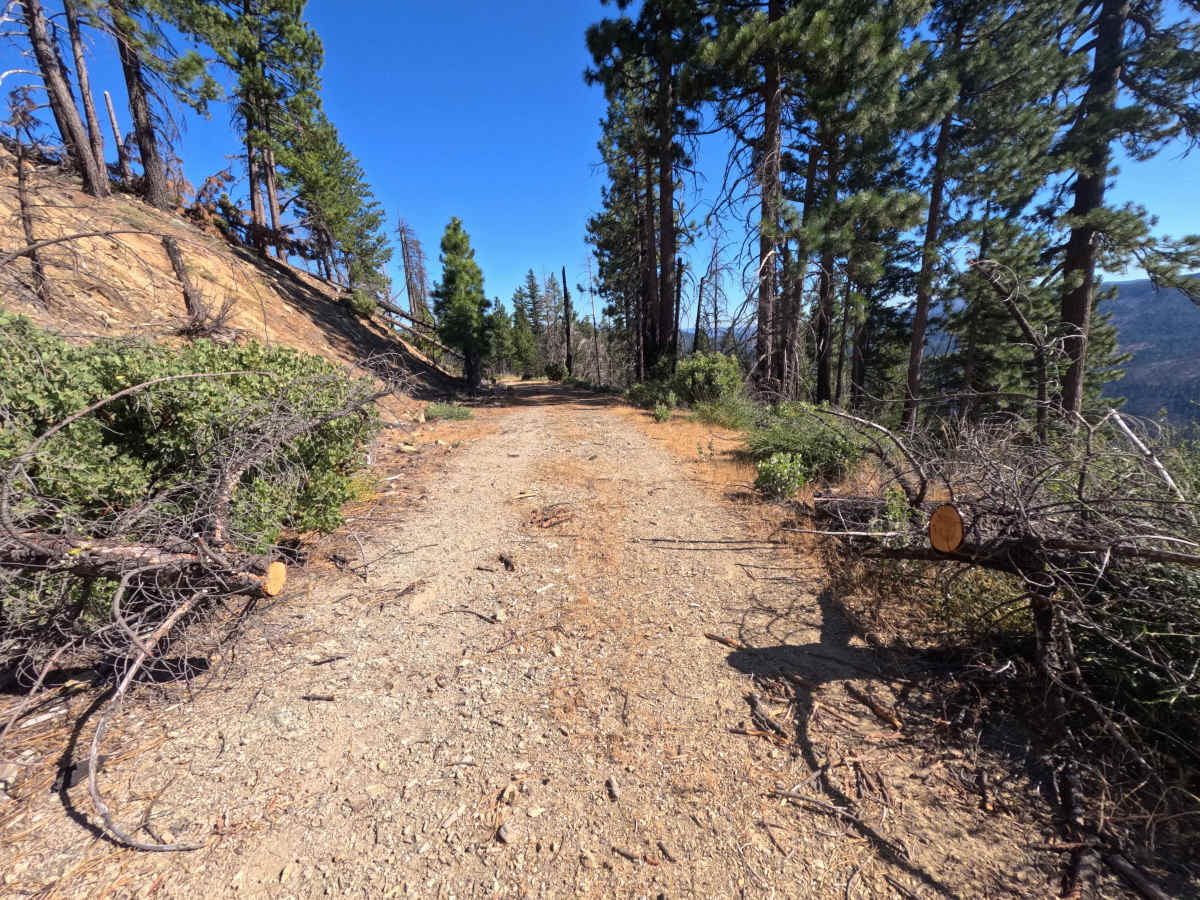 Spanish Ridge - FS 21N39 photo 3