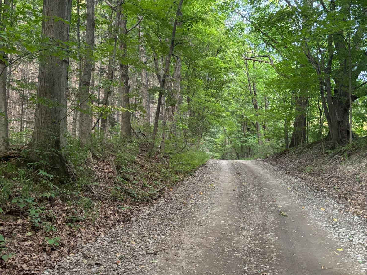 Williams Road photo 3