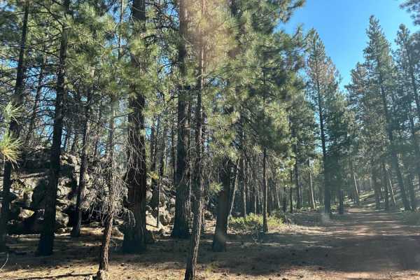 Sisters to Trout Creek Butte Trails