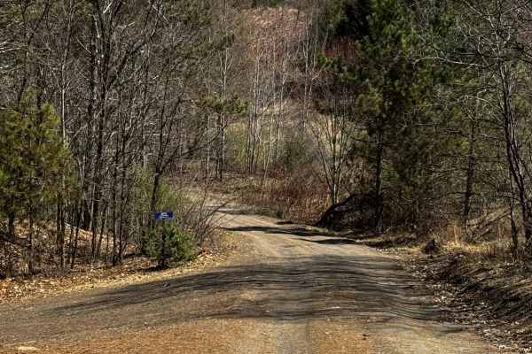 Logway Run Trail Spur