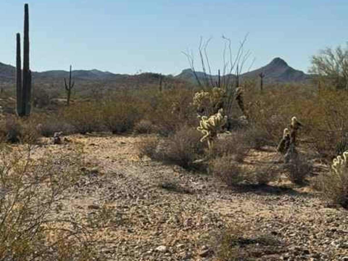 BLM 38069 photo 4