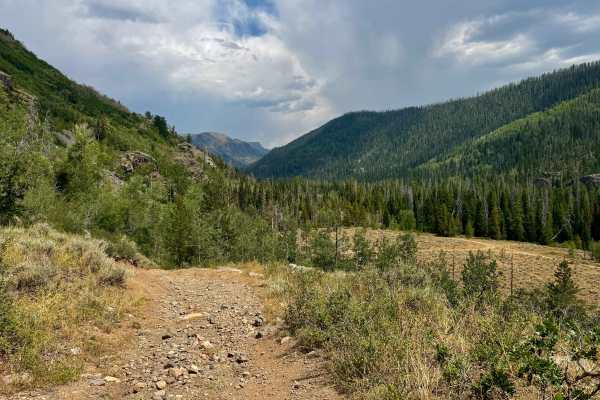 Bowes Mining Road - FS 471