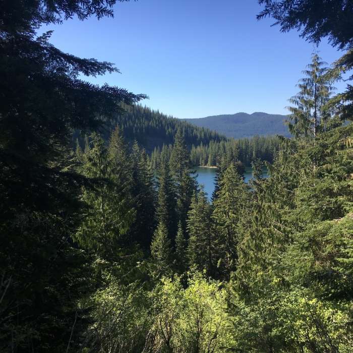 Near Shining Lake Trail #510