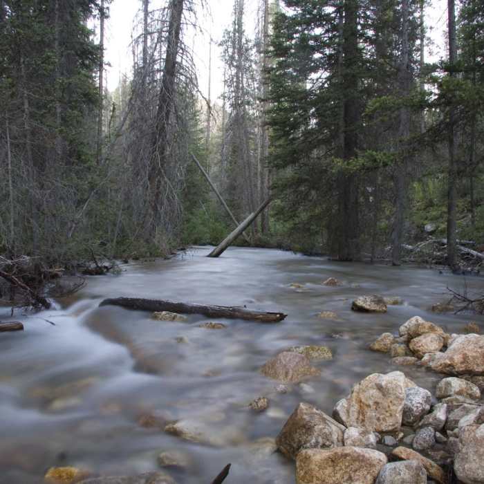 Near Alpine + Sawtooth Lakes, Iron Creek Drainage