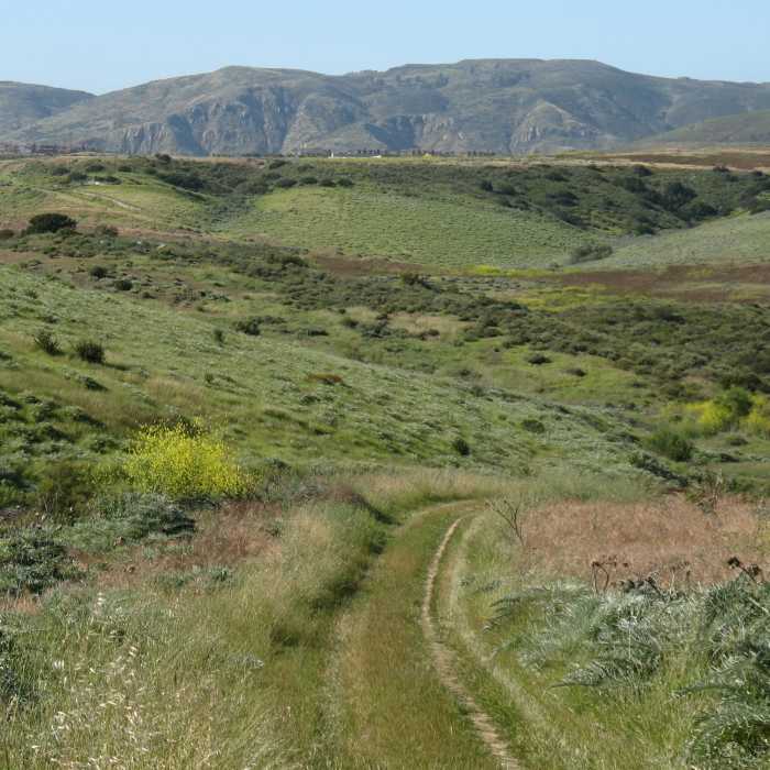 Near Lusardi Loop Alternate Start