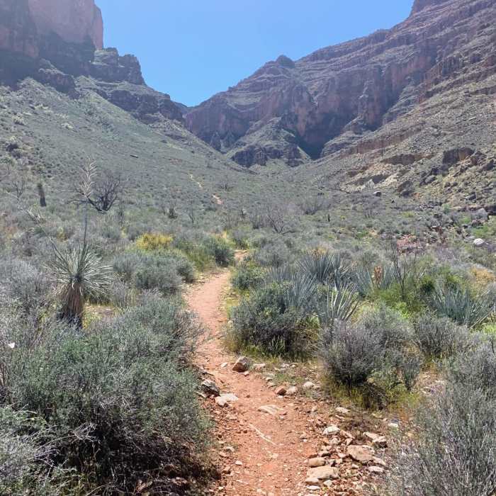 Near South Bass to Hermits Rest