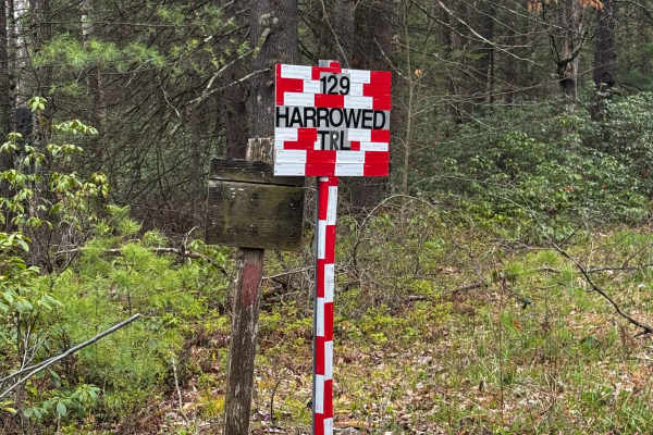 Harrowed Trail