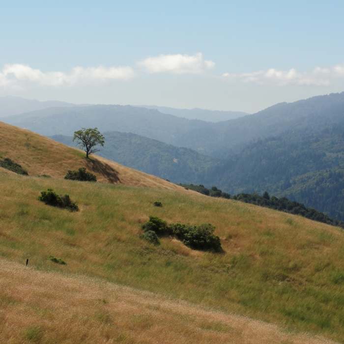 Near Black Mountain loop via Stevens Creek