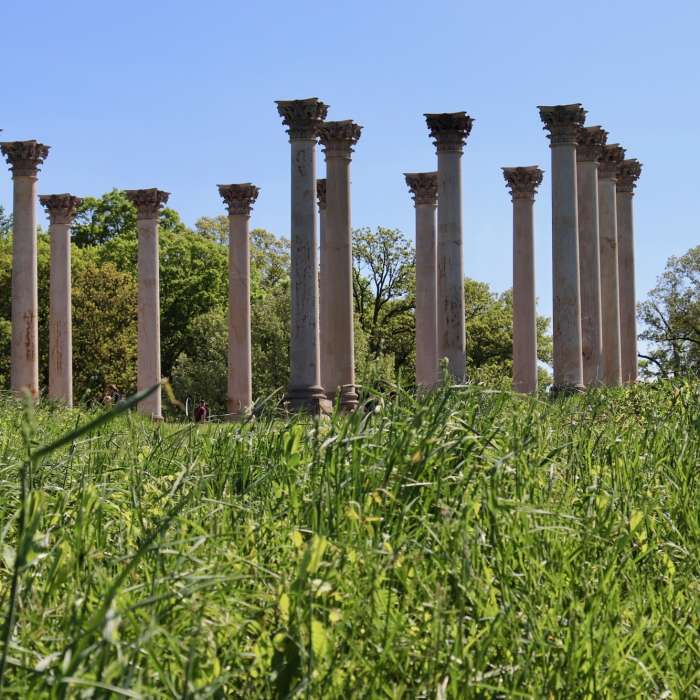 Over the small hill of Capitol Columns Near National Arboretum Figure-Eight