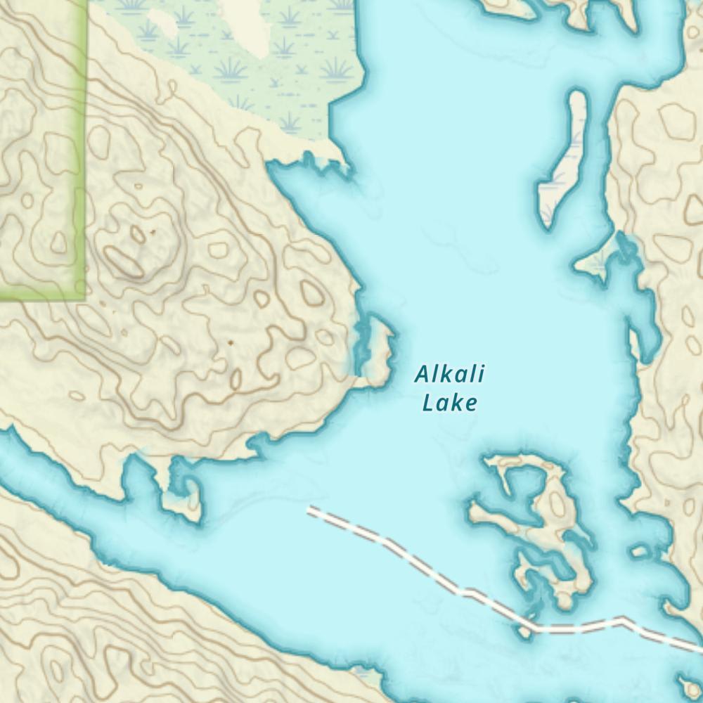 Alkali Lake photo