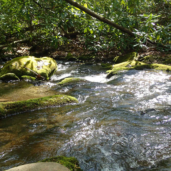 Twenty Mile Creek at Campsite 92. with permission from Mike Lerch Near Long Hungry Ridge Trail
