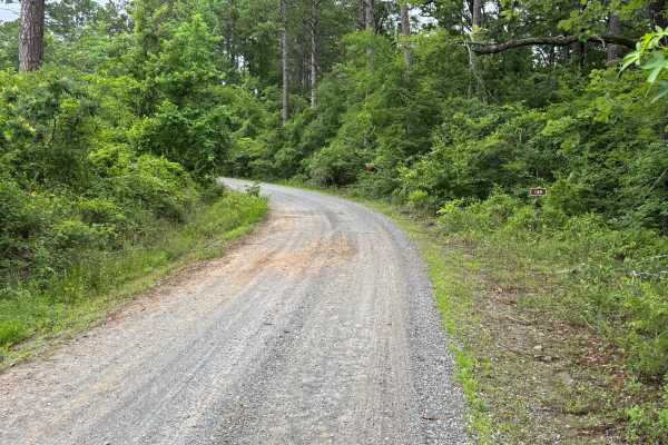 Muddy Creek