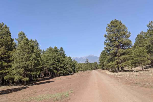 Wing Mountain Road
