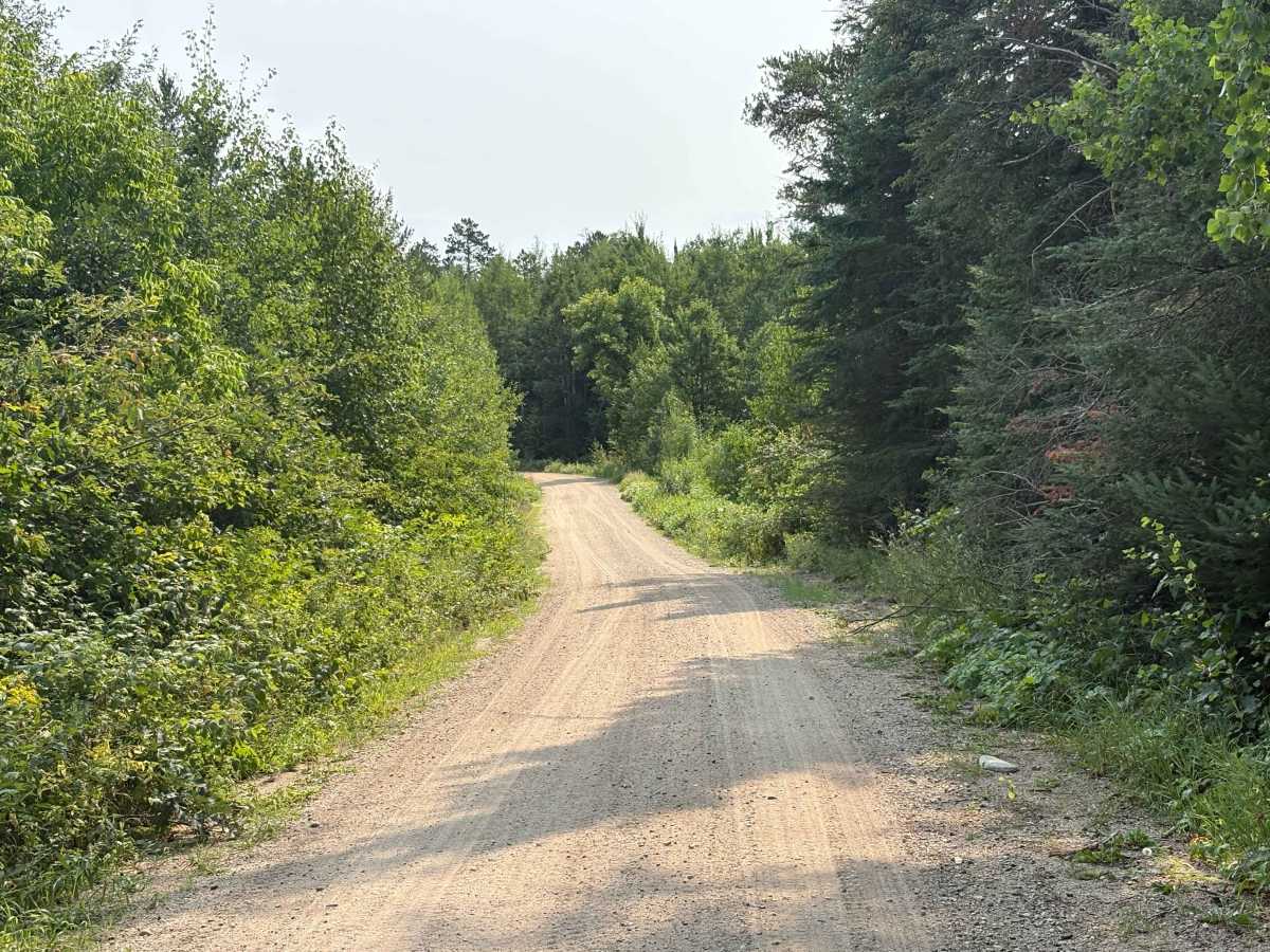 Indian Creek Forest Road trail photo
