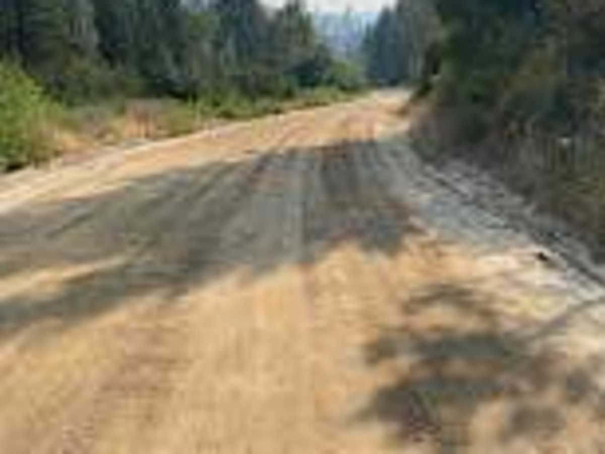 Thorn Creek Road trail photo
