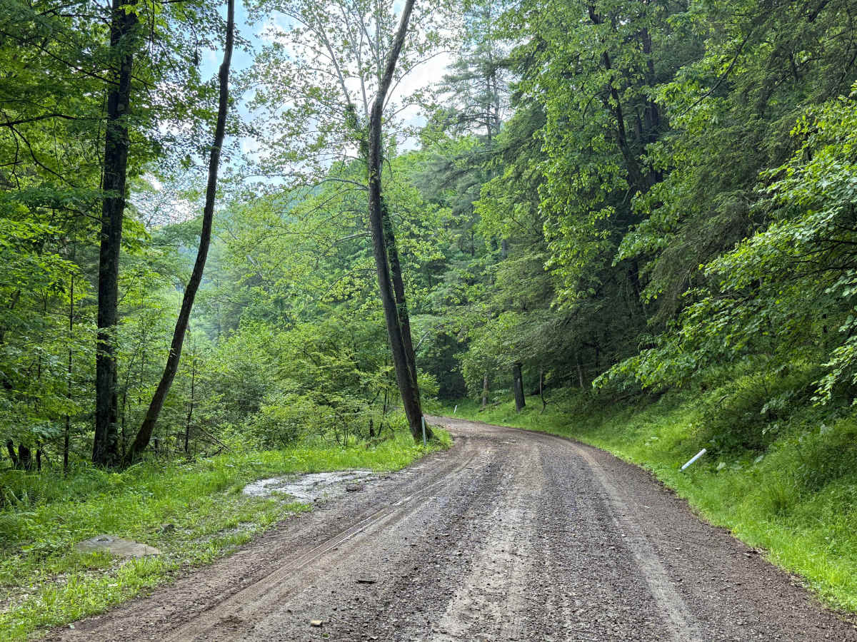 Cross PA Adventure Trail - FS 85116 photo 5