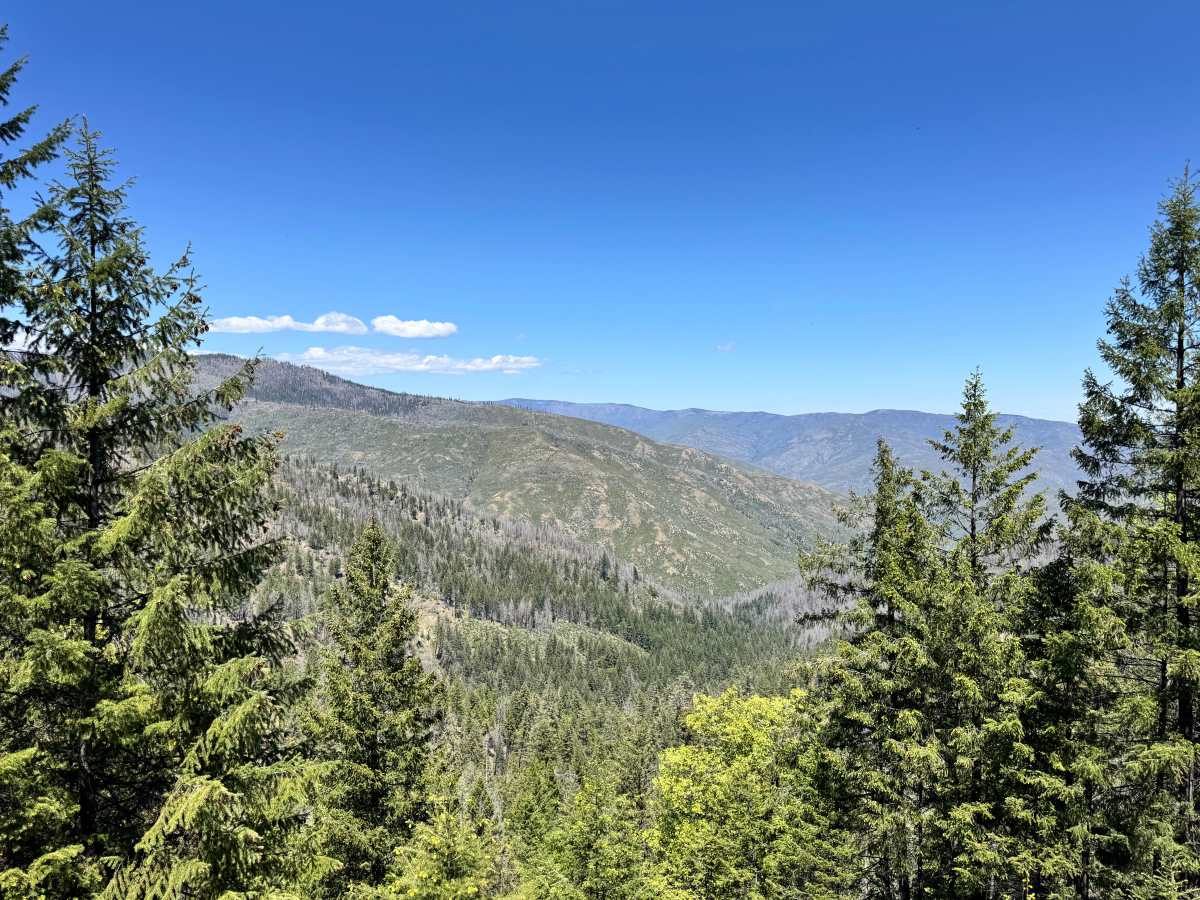 Lower Middle Ridge - FS 21N07 photo 5