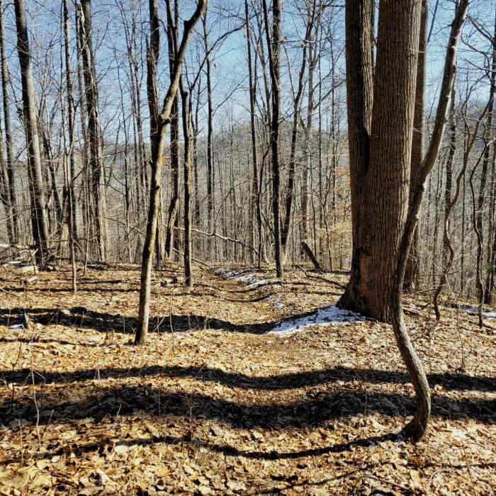 View of top of Gorge from Bluff Trail, views are ok, best during winter. With leaves there would not be much visibleble. Near Green River Game Lands Loop #2