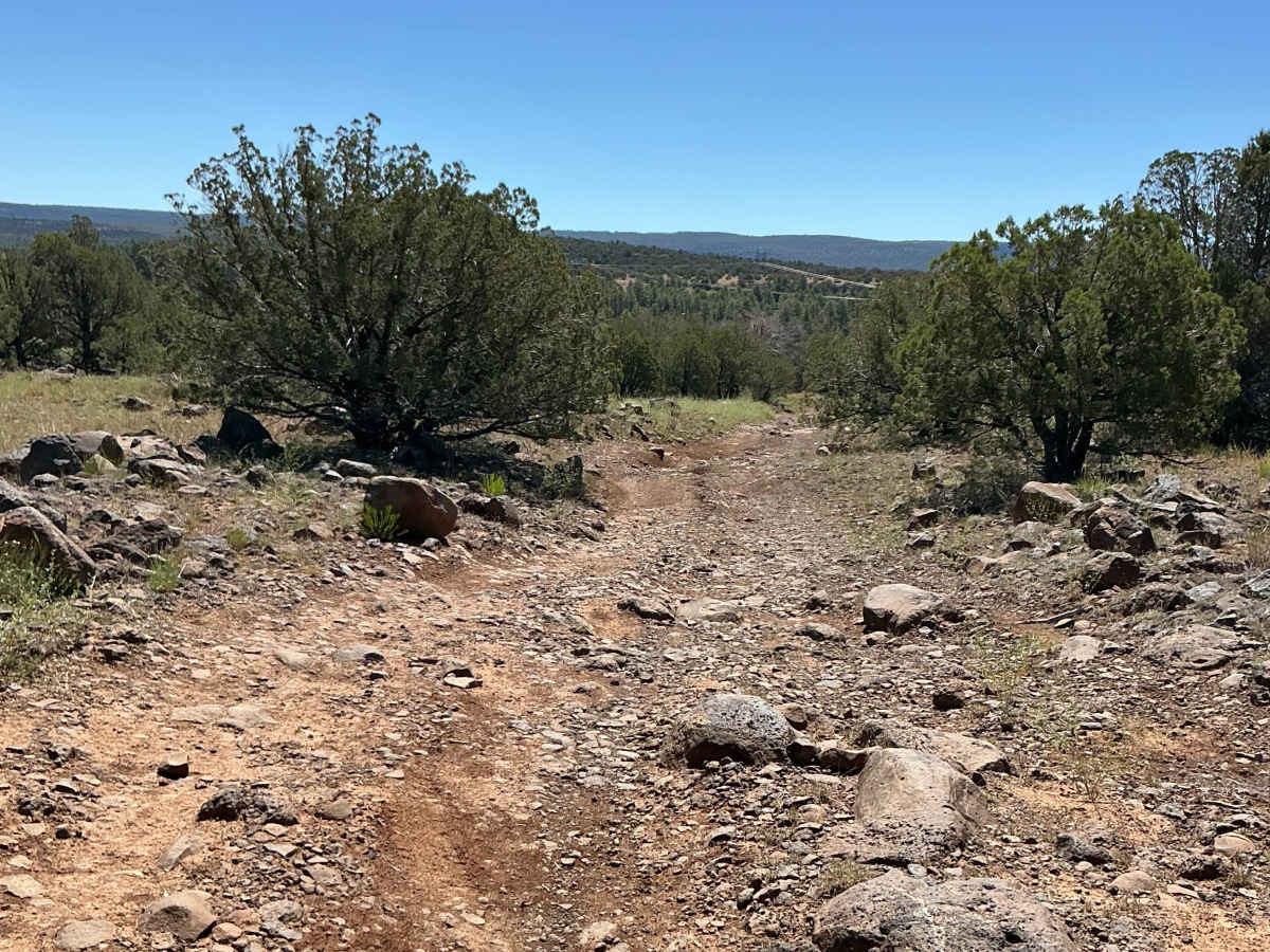 FS 9247B trail photo