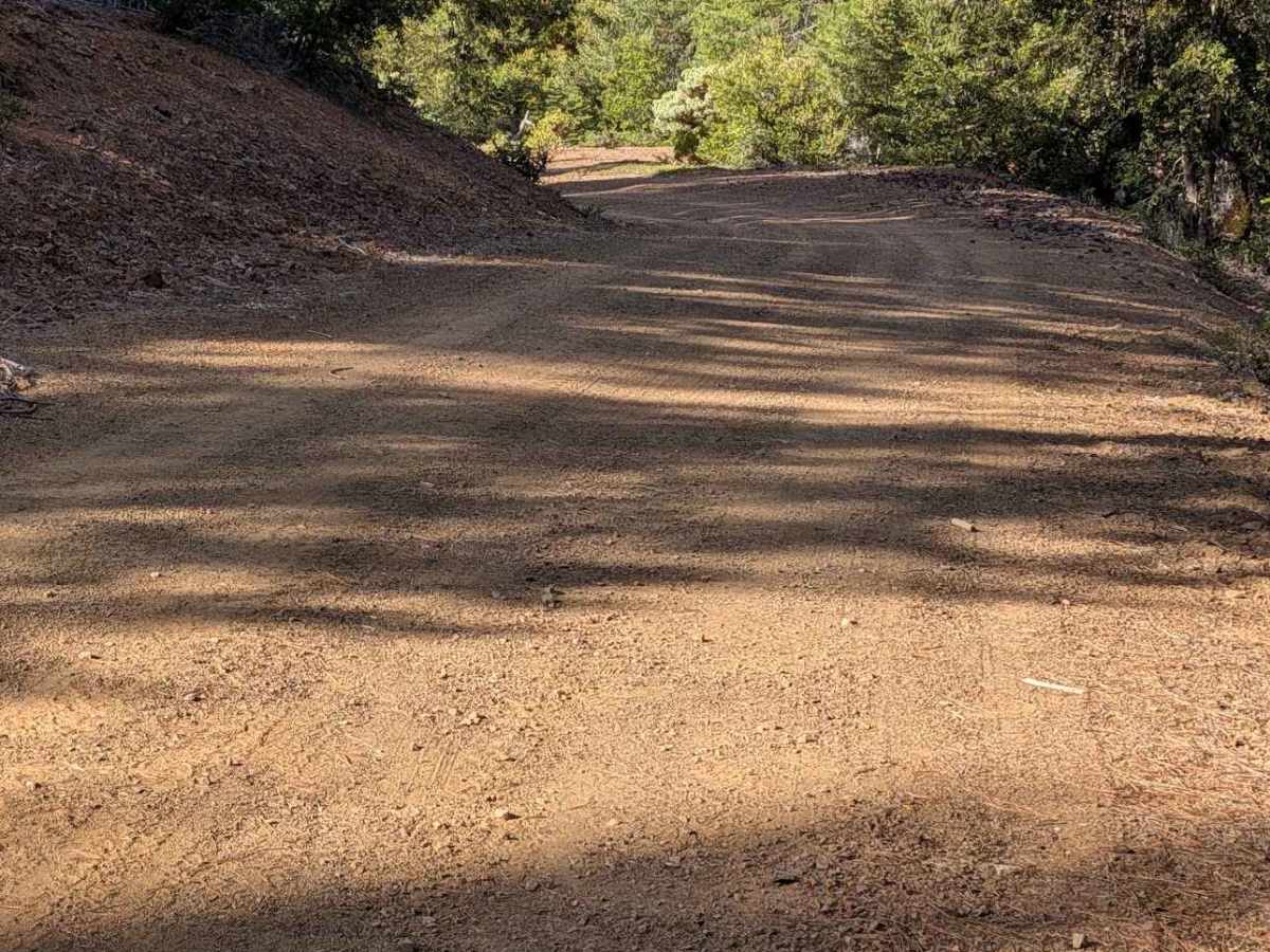 West Tule Road - FS 31N66 photo 2