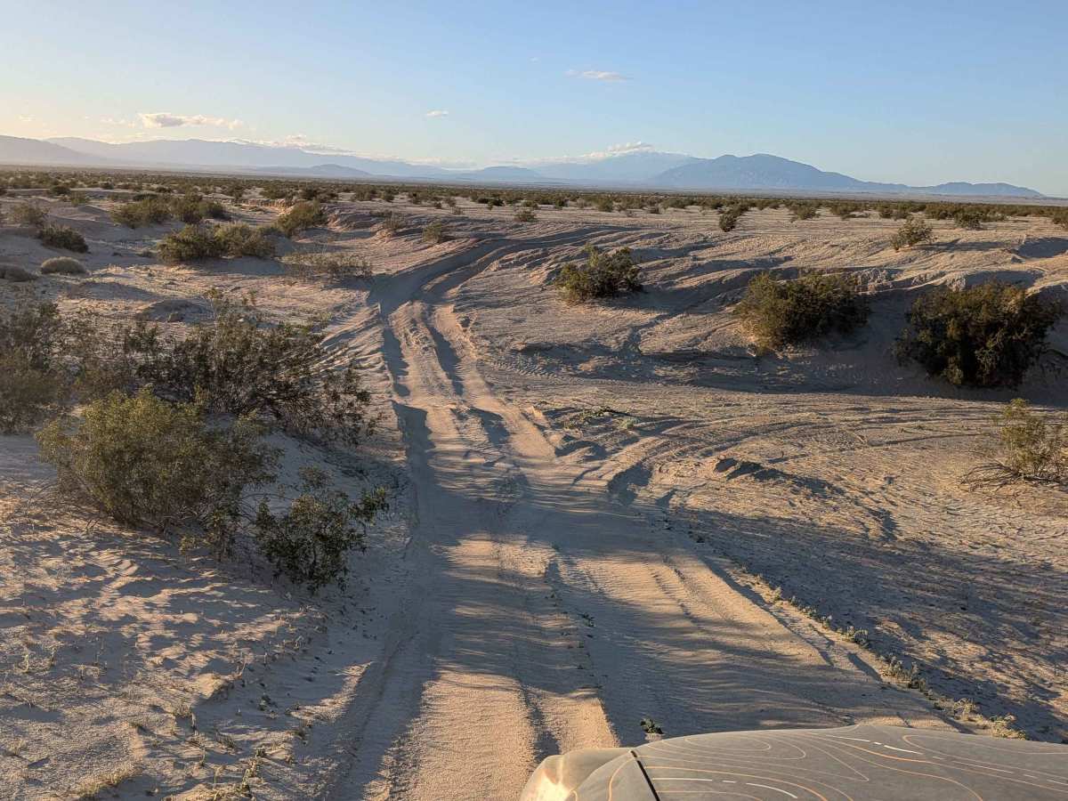 BLM 195 photo 2