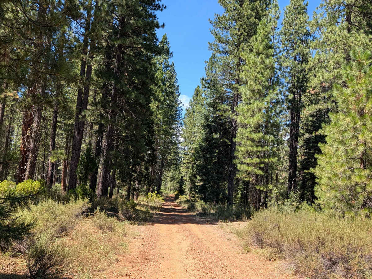 Bear Wallow East - FS 40N12 photo 4